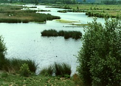 Moorlandschaft in Deutschland