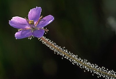 Zum Schließen des Fensters auf das Bild klicken