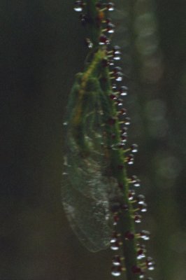 Zum Schließen des Fensters auf das Bild klicken