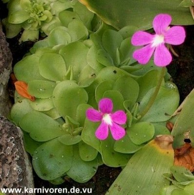 Zum Schließen des Fensters auf das Bild klicken