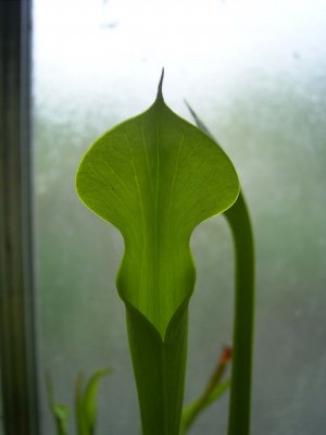 Zum Schließen des Fensters auf das Bild klicken