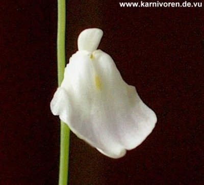 Zum Schließen des Fensters auf das Bild klicken